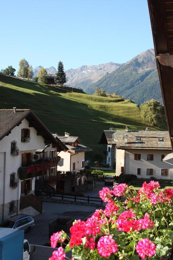 Chalet Stelvio Bormio Zewnętrze zdjęcie