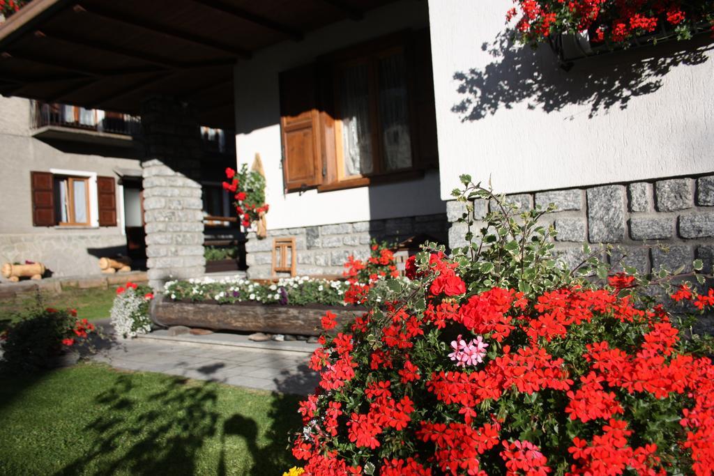 Chalet Stelvio Bormio Zewnętrze zdjęcie